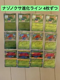 ナゾノクサ クサイハナ キレイハナ 4枚ずつ