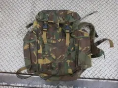 Item thumbnail for item 71cdc401-2509-4772-b2f8-a119e10cd69d