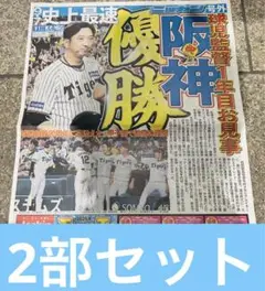 阪神タイガース リーグ優勝 号外 史上最速 ニッカンスポーツ 2部