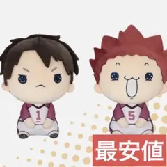 ハイキュー!!　もちぴこぬいぐるみ 牛島若利 天童覚 マスコット もちぴこ