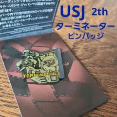 デルタ航空 キャプテンバッジ ゴールド エアライン 飛行機 航空グッズ