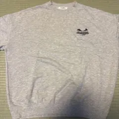 WEGOスウェットシャツ グレー