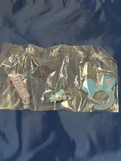 TWICE LOVELYS アクリルカラビナ フロッキーマスコット ナヨン