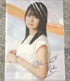 飛燕様 リクエスト 2点 まとめ商品