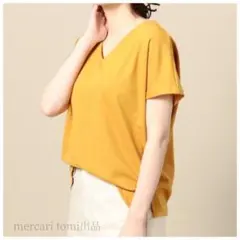 B&Yカットソー アダムエロペ グリーンレーベルリラクシング スローブイエナ