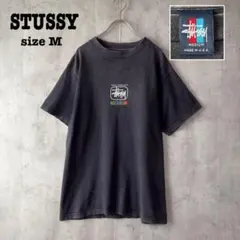 希少　STUSSY ステューシー Tシャツ 90s カプセルロゴ 赤青タグ　古着
