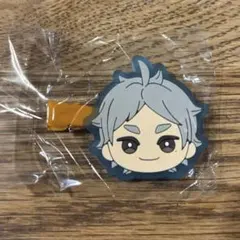 【バラ売り可】ハイキュー!! みにコレ！ぬいぐるみ マスコット 二口堅治 及川徹 2025年最新】ハイキューみにコレの人気アイテム - メルカリ