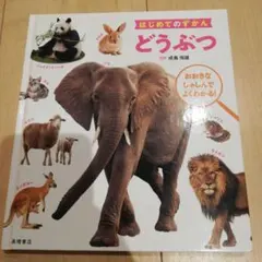 まゆたん様 リクエスト 2点 まとめ商品