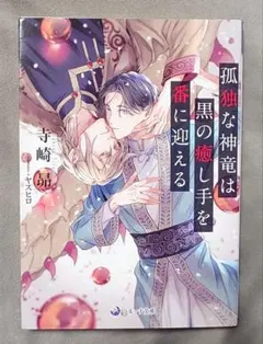 bl小説 文学・小説