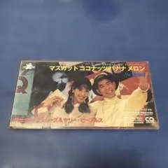 THE真心ブラザーズ&サリー・ピープルズ 8cm8センチ邦楽シングルCD