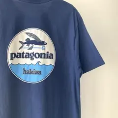 Item thumbnail for item b0ef46e1-5128-4875-a4e5-8446defb408e