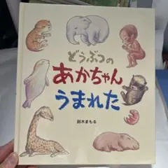 はたはた様 リクエスト 2点 まとめ商品