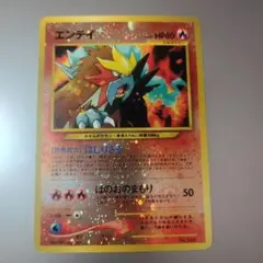 【ARS9】　エンテイ　プレミアムファイル2　十字ホロ　旧裏　極美品　鑑定書付き PSA9/うずまきホロ2個】ポケモンカード エンテイ 旧裏 プロモ