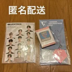 SEVENTEEN FC 更新特典 ピン ポストカード