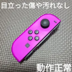 Nintendo Switch　ジョイコン　パープル
