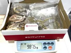 ヒイロ シルヴァ セピアe-amusement pass ボンバーガール セット