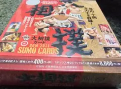 大相撲カード 1997 未開封BOX - メルカリ
