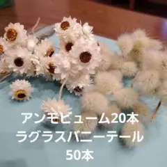 momo✽様 リクエスト 2点 まとめ商品