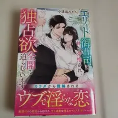 みけちゃん様 リクエスト 2点 まとめ商品