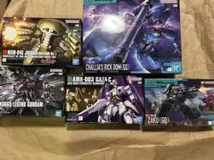 未開封 HG バイアラン ハンブラビ ガザCハマーン専用機 未組立