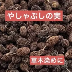 Item thumbnail for item 28d76c75-80bb-491d-be7a-943a511d1ae0