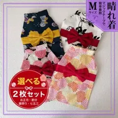 Item thumbnail for item 46f16896-5575-4d76-972d-28d665f19620