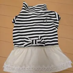 犬の服グラマーイズムのサムネイル