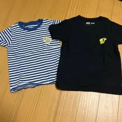 Item thumbnail for item 9145d42a-5c3c-4eef-a631-e5fc81cc735e