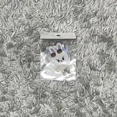 straykids スキズ 2023jyppopup リービット ステッカー