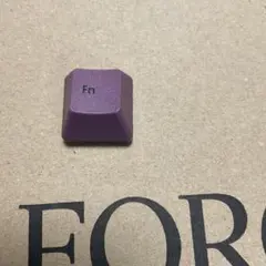 リアルフォース　rc1 日本語　ダークモーブ　fn