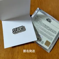 SEVENTEEN HOLIDAY PINS スンチョル　エスクプス