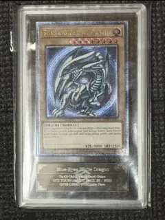 2026年最新】青艶 ars9の人気アイテム - メルカリ