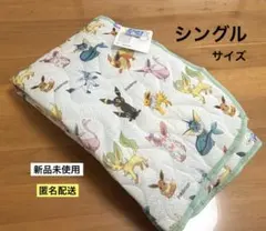 Item thumbnail for item e7fa267c-16f1-478e-b817-10943443136f