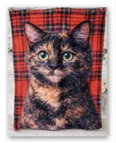 猫グッズ　ハチワレ　イチゴ　ブランケット　肌触り◎ オリジナル　特製ペン付き