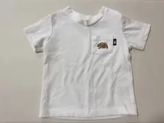 Item thumbnail for item 31ca330d-2b28-443e-8479-407949eab298