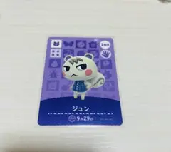 匿名配送 amiibo カード ジュン あつまれどうぶつの森