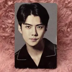 2026年最新】exo birdの人気アイテム - メルカリ