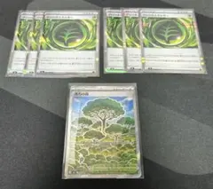 Item thumbnail for item b6173024-cd38-4c61-acf5-a145665349e9