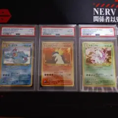PSA連番 旧裏 ポケモンカード ネオプレミアムファイル 3枚セット 御