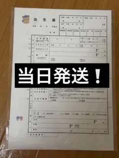 新品　未開封　ファミリア　出生届