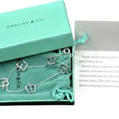 【超レア】Tiffany&Co.アップル 5モチーフブレスレット　付属品　鑑定済のサムネイル