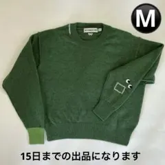 ユニクロ アニヤハインドマーチ 目玉刺繍 ニット 緑 M