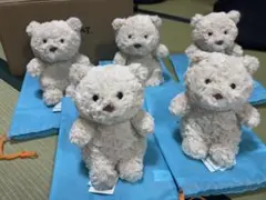 【春季新品】Jellycat babyバルセロくま 単品販売（早い者勝ち）のサムネイル