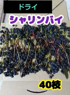 チャッピー様 リクエスト 3点 まとめ商品