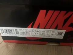 Nike Air Jordan 1 パテンドブレッド