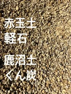 アガベ　培養土　１.5リットルのサムネイル
