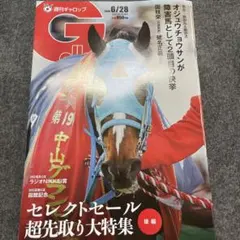2026年最新】ギャロップ 創刊号の人気アイテム - メルカリ