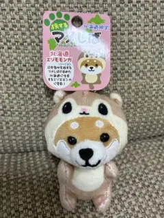 旅するマメしば　北海道限定