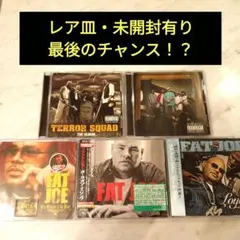 FAT JOE TERROR SQUAD 5枚 HIPHOP G-RAP