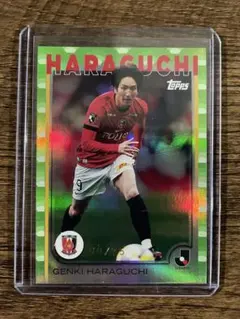 Item thumbnail for item 86411616-a08f-41ff-a393-815401923051